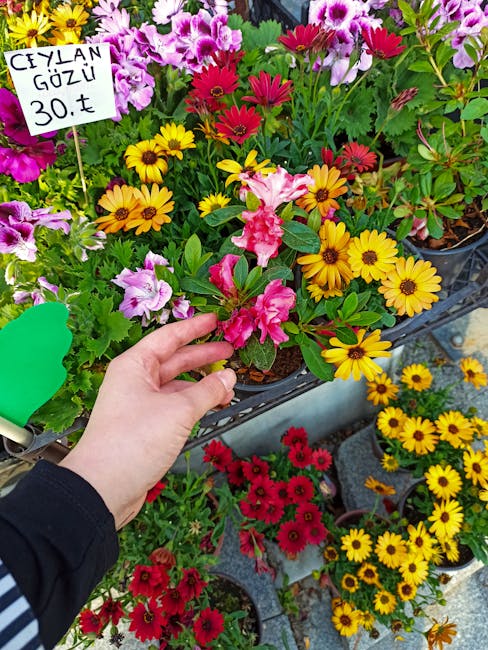 A close-up image of a hand holding a pink and white flowering plant among a variety of colorful blooms at a flower stall. Surrounding the hand are vibrant yellow, purple, red, and pink flowers, includ